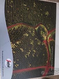 stampe caffè segafredo 