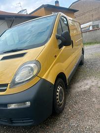 Sgombro cantine , garage  e soffitte