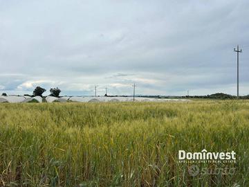 Terreno di 33000 m² a Montalto di Castro