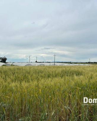 Terreno di 33000 m² a Montalto di Castro