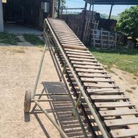 scaletta nastro trasportatore legna