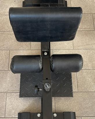 Sissy Squat