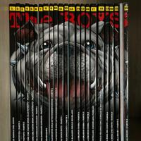 The Boys serie completa