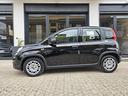fiat-panda-1-0-firefly-hybrid-s-s-70cv
