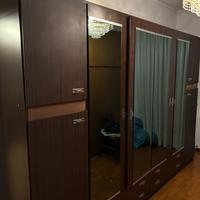 Armadio moderno con specchi legno wengé