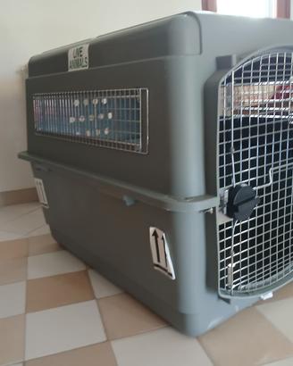 Gabbia per cani - trasporto aereo