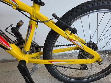 BICICLETTA MOUNTAINBIKE
