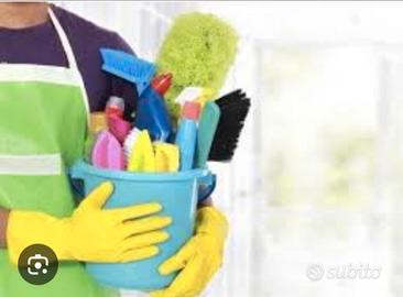 Pulizie domestiche