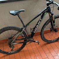 Bici giant professionale