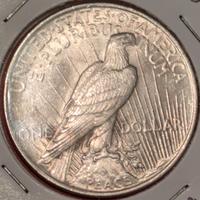 Dollaro Peace 1923 USA