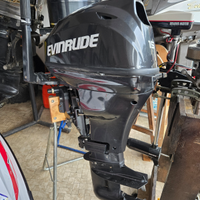Brp evinrude 15 hp 4 tempi