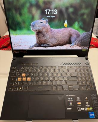 ASUS TUF gaming F15 i7 RTX4050 + rialzo e borsa.