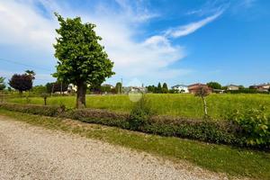 TER. RESIDENZIALE A SACCOLONGO
