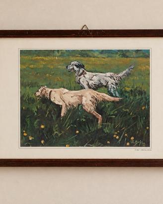 Stampa vintage – Due cani da caccia - E. Busi
