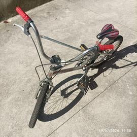BICI BAMBINO VERTEK