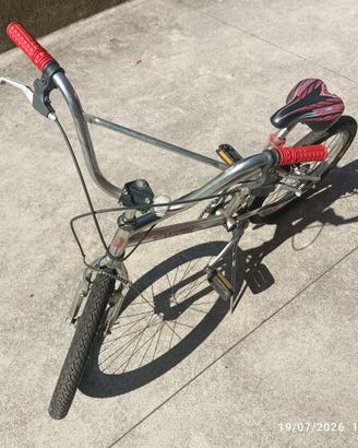 BICI BAMBINO VERTEK