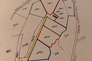 Terreno agricolo/bosco