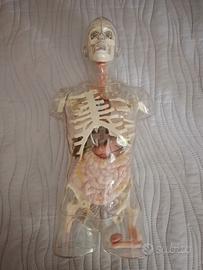 collezione corpo umani De Agostini