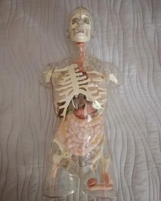 collezione corpo umani De Agostini