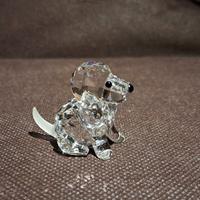 Swarovski cane seduto