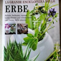 Erbe, piante medicinali per il benessere e la bell