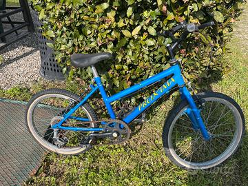 Bici mtb bimba