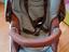 Immagine 2