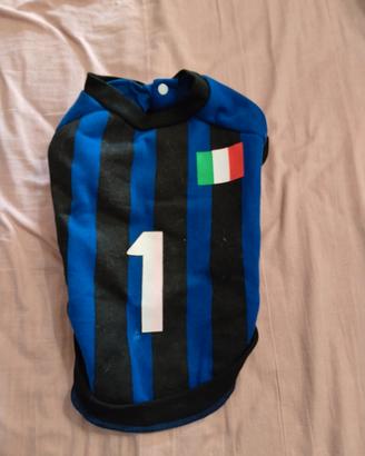 x gatti o cani
