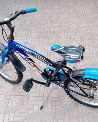 bicicletta 20 pollici