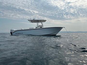 Robalo 260 cc