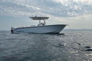 Robalo 260 cc