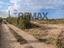 Immagine 8