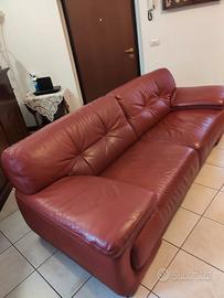 Divano in vera pelle – DIVANI & DIVANI