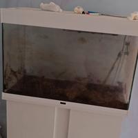 acquario ciano 150 lt