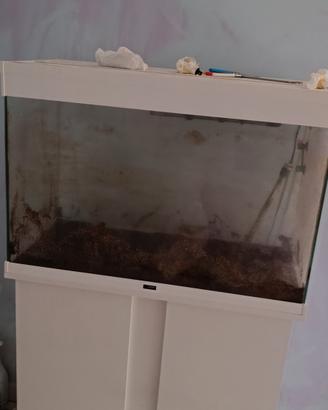 acquario ciano 150 lt