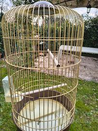 Gabbia con piedistallo per pappagalli 