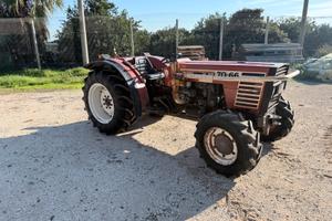 Fiat frutteto 70-66 dt