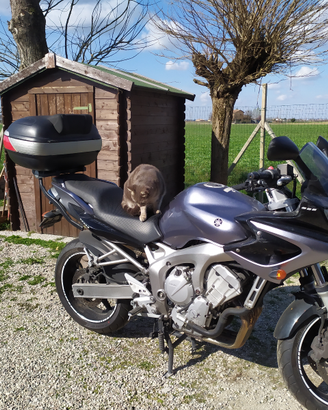 Yamaha Fazer 6 - 2006