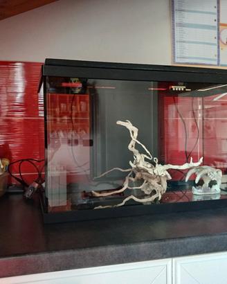 Acquario