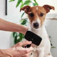 TOELETTATURA PER ANIMALI