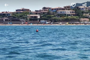 Campo boe Cannigione