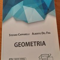 libro di geometria 