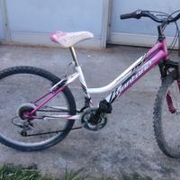 Bicicletta Montambike 