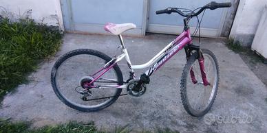 Bicicletta Montambike 