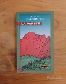 Marlen Haushofer, La Parete