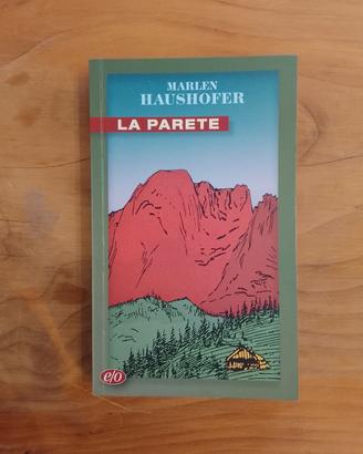 Marlen Haushofer, La Parete
