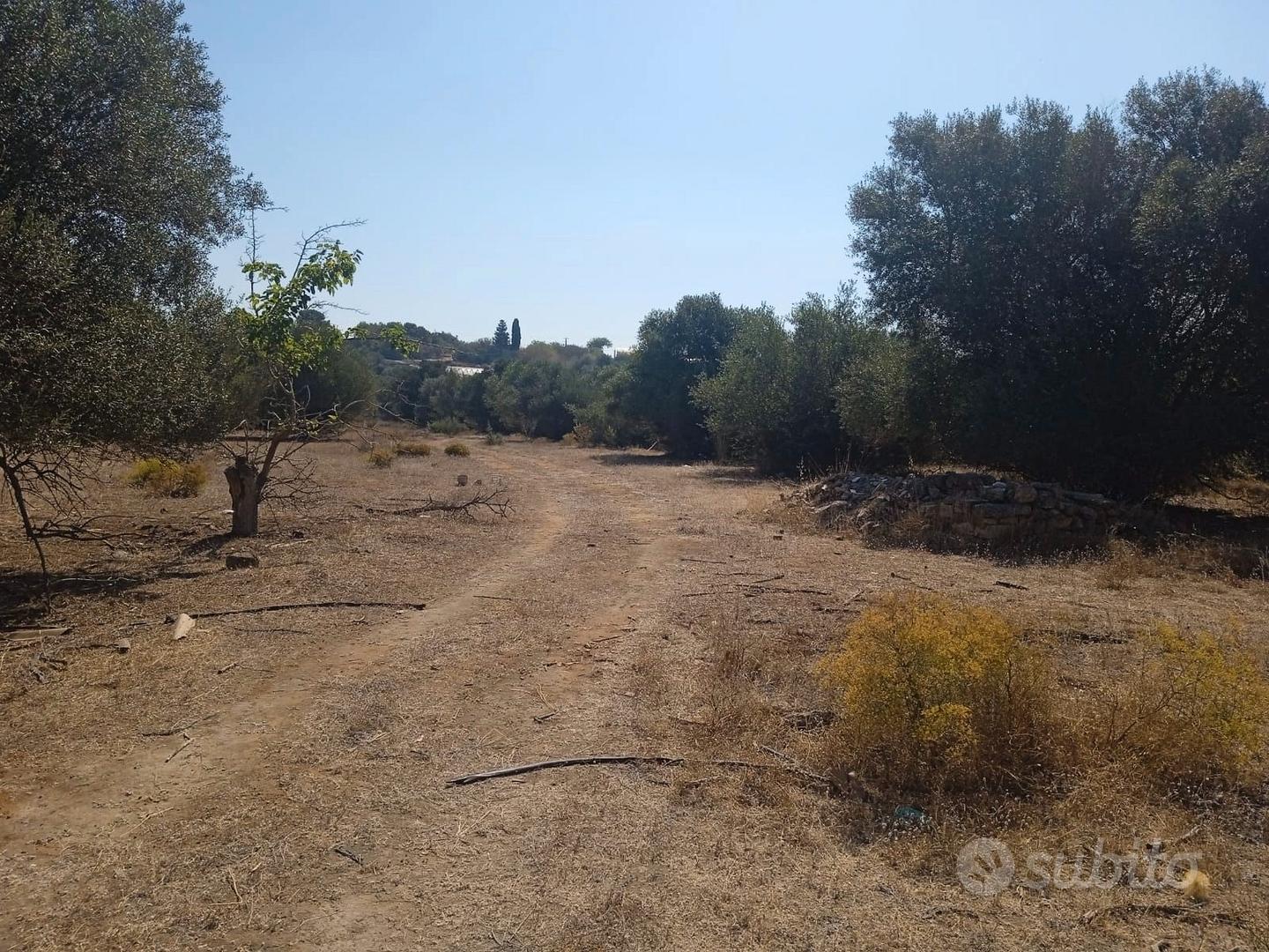 Terreno agricolo - Vista 2