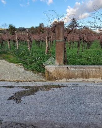 TER. AGRICOLO A FOGLIANISE