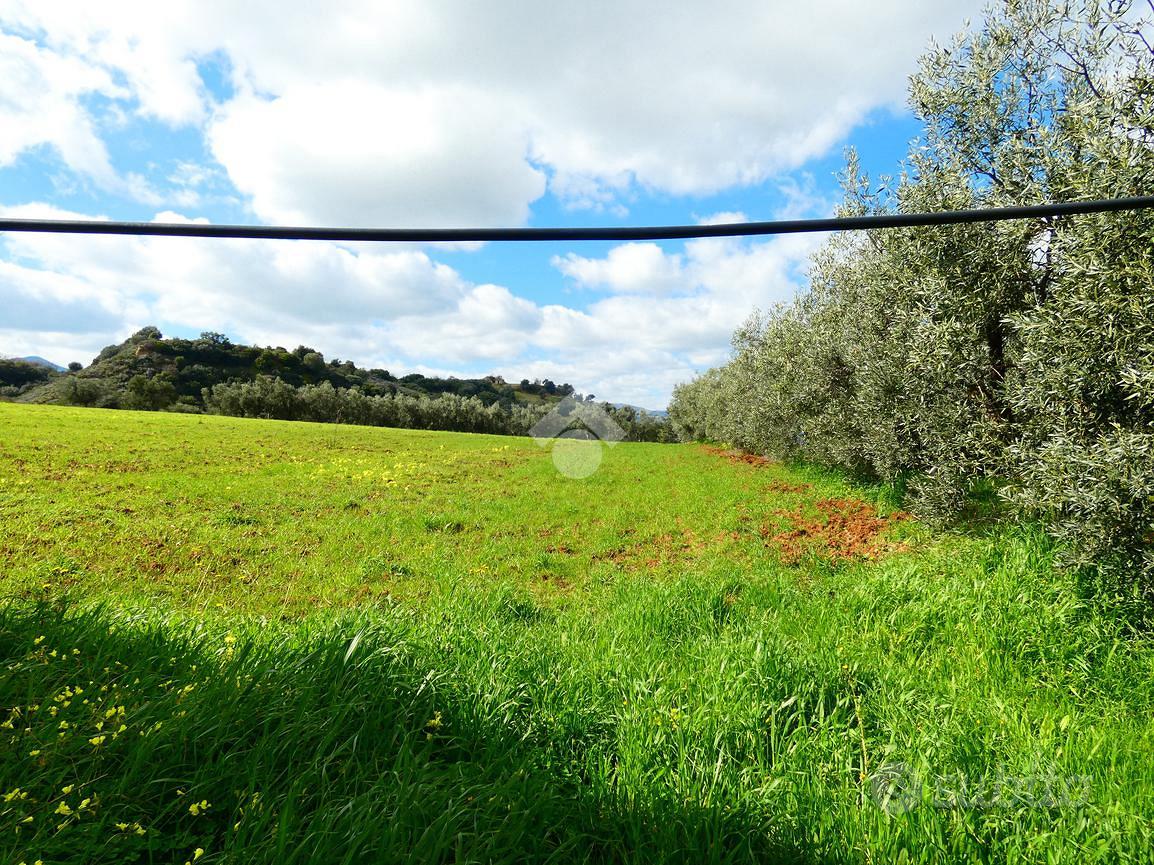 5 LOCALI A ROTONDELLA - Vista 2