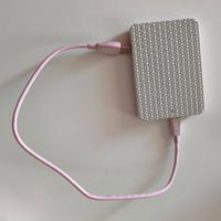 Hard disk esterno Samsung 640 GB